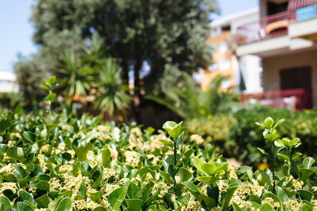 S'Arena Bianca Apartment ألغيرو المظهر الخارجي الصورة